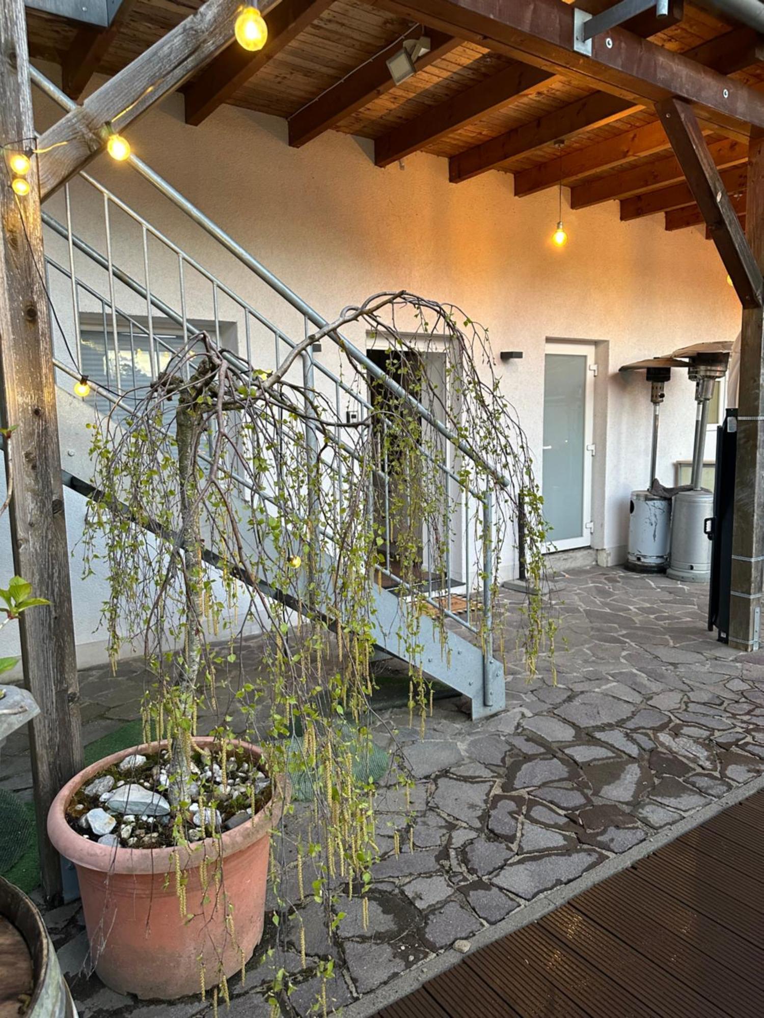 Mola Apartments-Charmante Ferienwohnung Im Herdecke Zentrum Fuer 3 Personen-Grosse Dachterrasse-Grill-Gratis Parken-Wlan Exterior foto